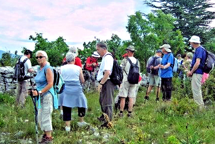 Club cœur et santé Avignon